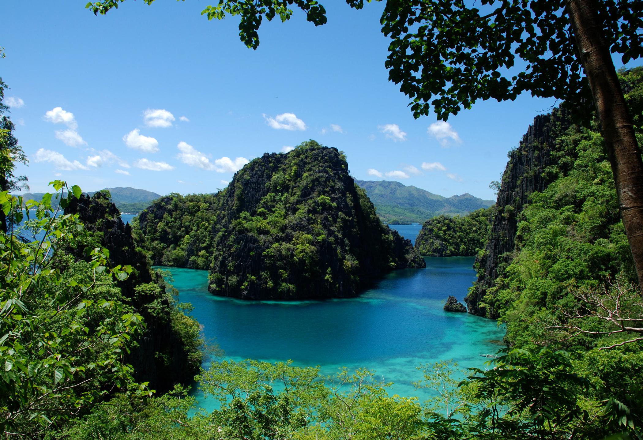The Funny Lion - Coron Hotel Luaran gambar